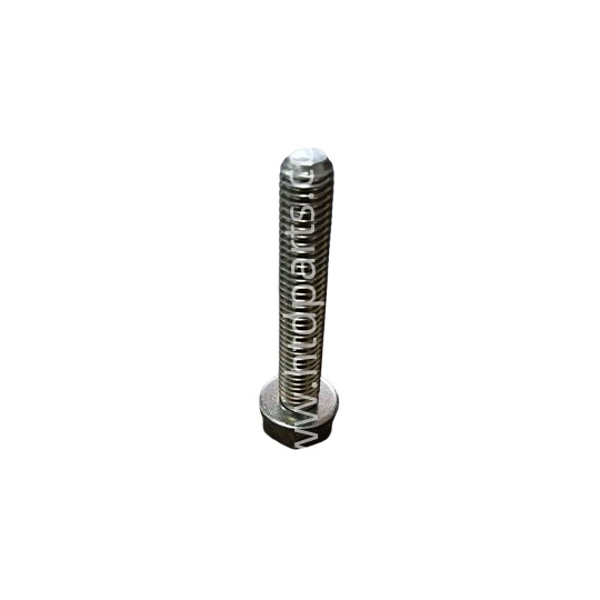 Hexagon bolt ZF | 0636016405 | PARAFUSO (10MM) M10X60X1,5